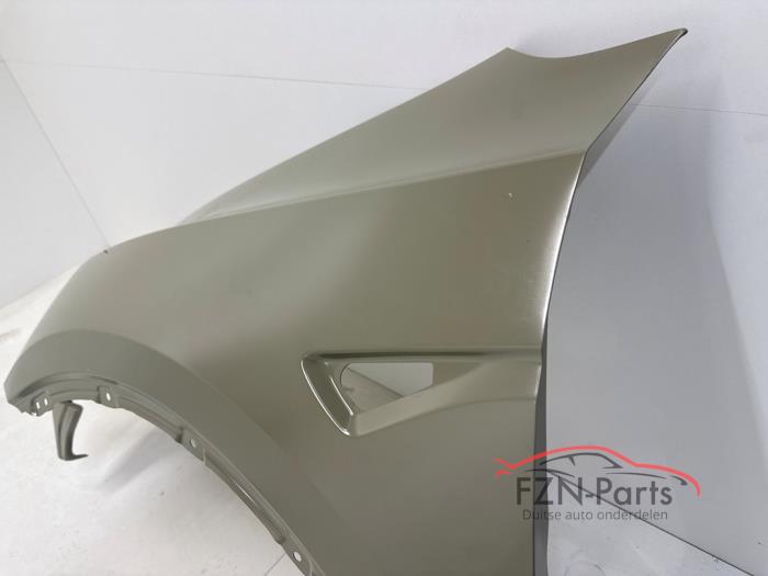 Tesla model Y Zijscherm spatscherm links-voor ongespoten