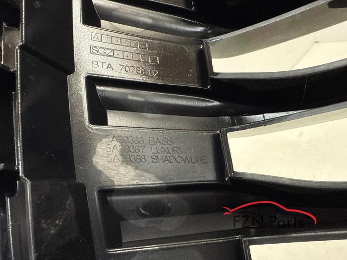 BMW F40 1-Serie Grille Chroom Grijs