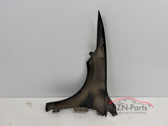 VW Golf 8 Zijscherm Spatscherm Rechts LY9T
