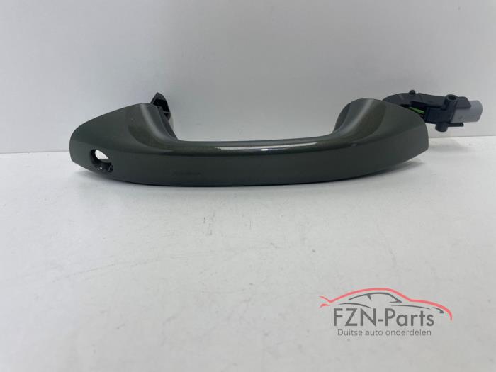 VW Tiguan 571 CT1 Portiergreep links-voor Groen