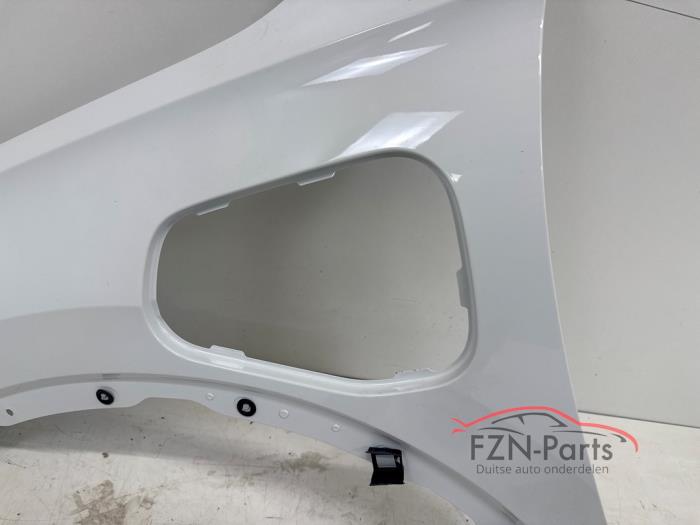 VW Tiguan 571 CT1 Hybride Zijscherm voorscherm Links